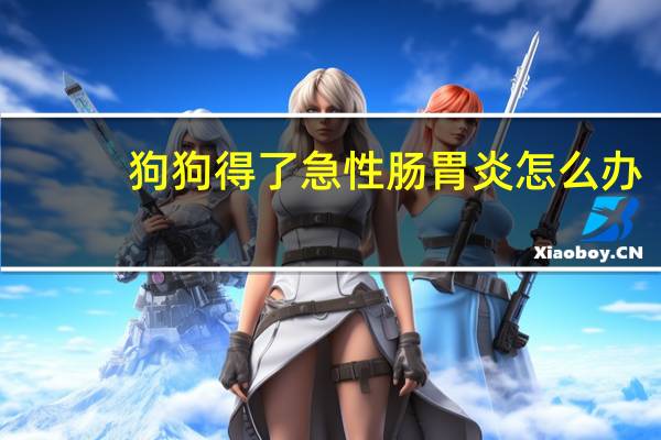 狗狗得了急性肠胃炎怎么办