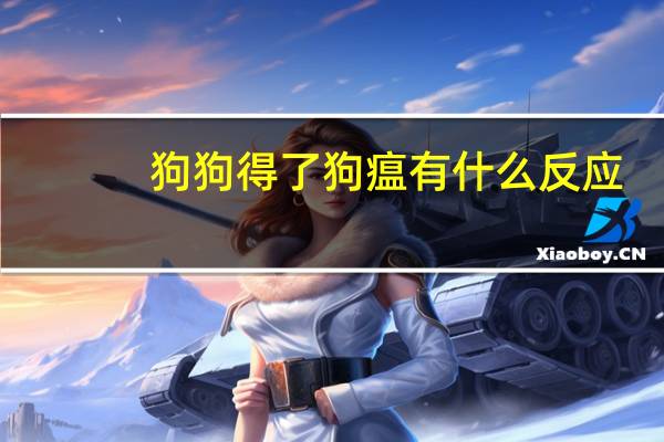狗狗得了狗瘟有什么反应