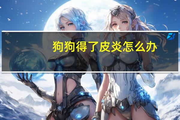 狗狗得了皮炎怎么办