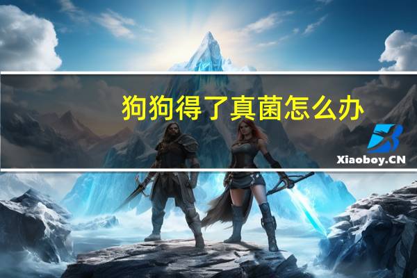 狗狗得了真菌怎么办