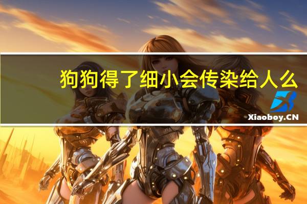 狗狗得了细小会传染给人么