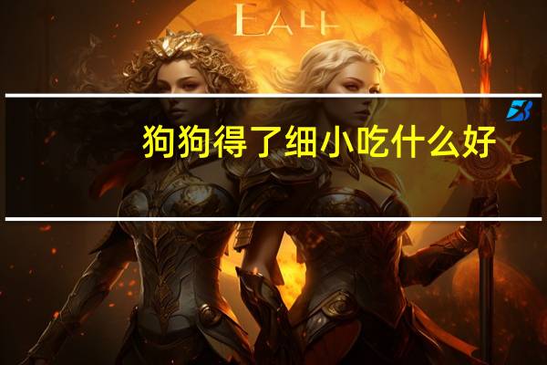 狗狗得了细小吃什么好