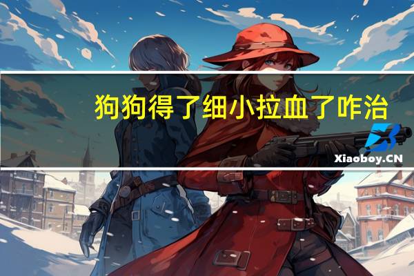 狗狗得了细小拉血了咋治
