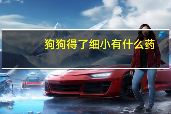 狗狗得了细小有什么药