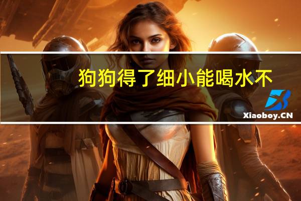 狗狗得了细小能喝水不
