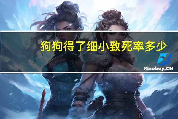 狗狗得了细小致死率多少