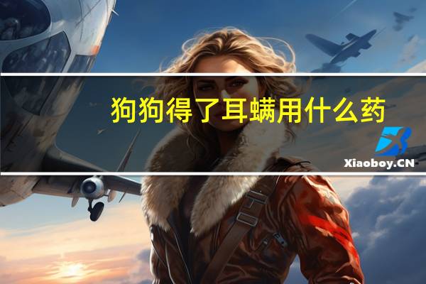 狗狗得了耳螨用什么药