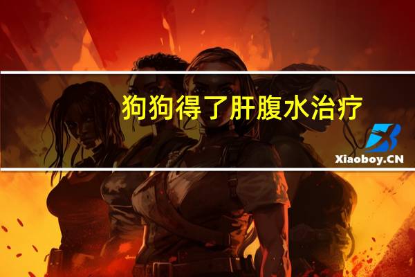 狗狗得了肝腹水治疗