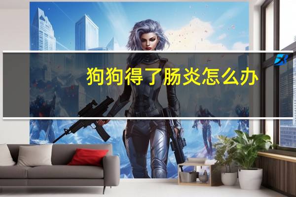 狗狗得了肠炎怎么办