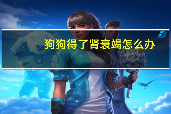 狗狗得了肾衰竭怎么办