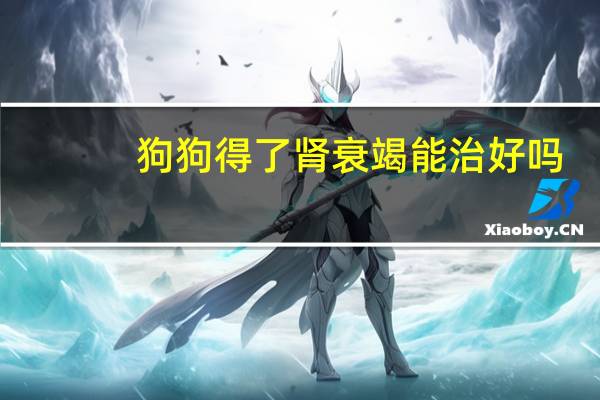 狗狗得了肾衰竭能治好吗