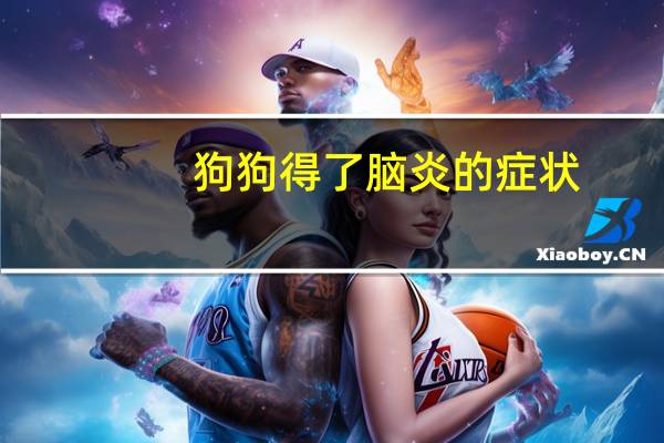 狗狗得了脑炎的症状