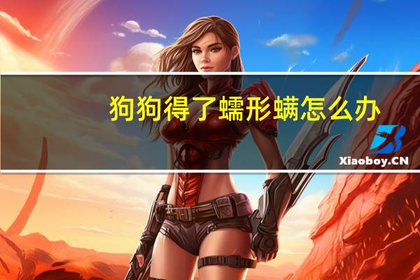 狗狗得了蠕形螨怎么办