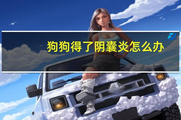 狗狗得了阴囊炎怎么办