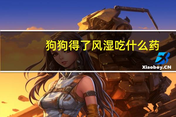 狗狗得了风湿吃什么药