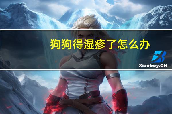 狗狗得湿疹了怎么办
