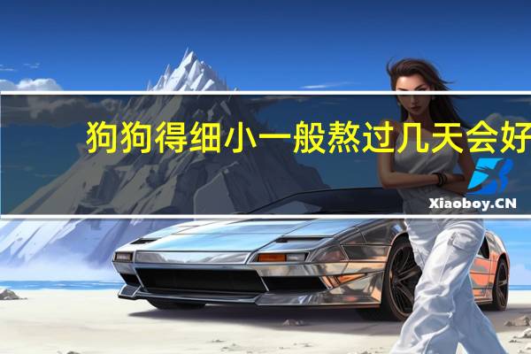 狗狗得细小一般熬过几天会好