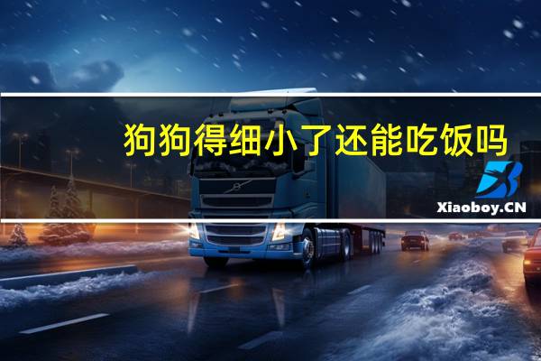 狗狗得细小了还能吃饭吗