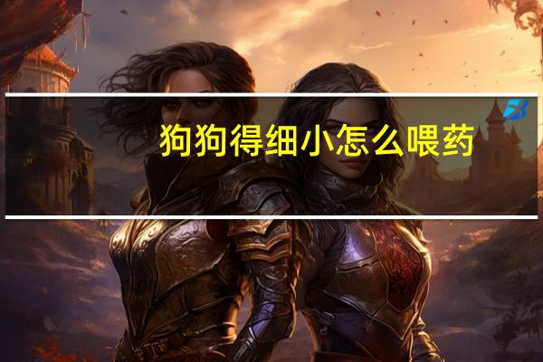 狗狗得细小怎么喂药