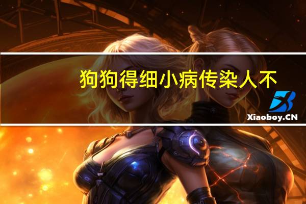 狗狗得细小病传染人不