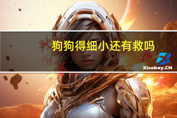 狗狗得细小还有救吗