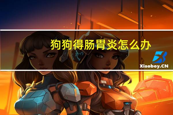 狗狗得肠胃炎怎么办