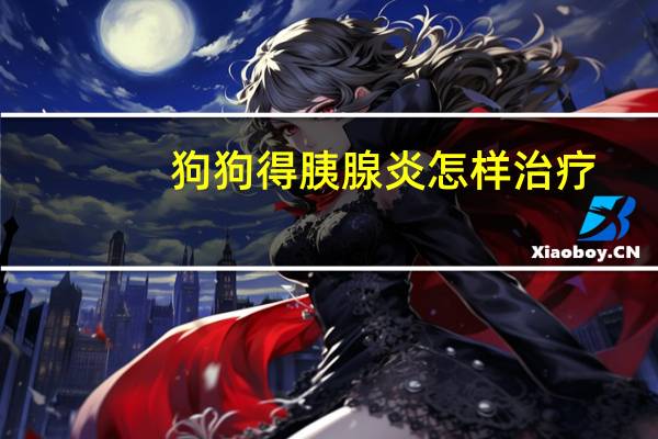 狗狗得胰腺炎怎样治疗