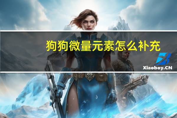 狗狗微量元素怎么补充