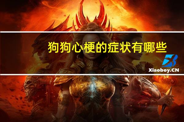 狗狗心梗的症状有哪些