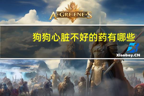 狗狗心脏不好的药有哪些