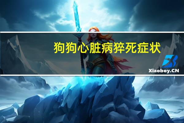狗狗心脏病猝死症状