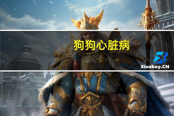 狗狗心脏病