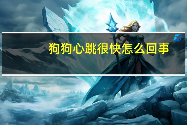 狗狗心跳很快怎么回事