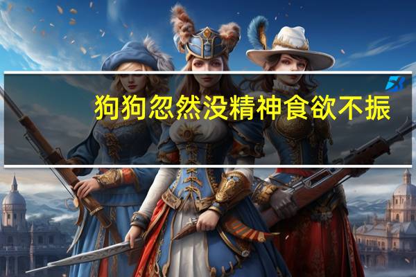 狗狗忽然没精神食欲不振