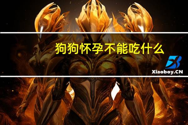 狗狗怀孕不能吃什么
