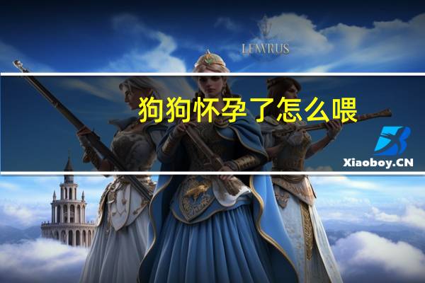狗狗怀孕了怎么喂