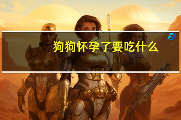 狗狗怀孕了要吃什么