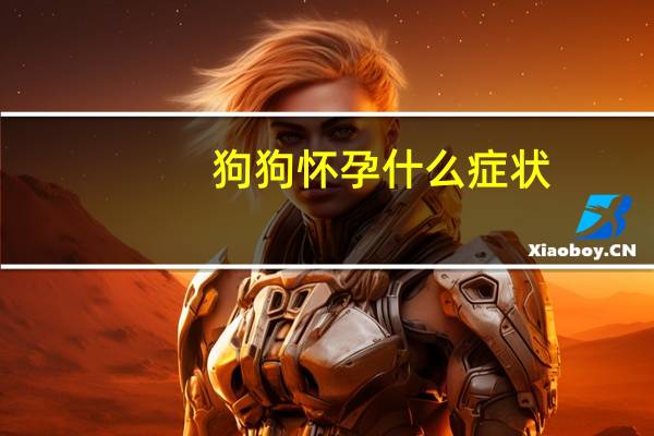 狗狗怀孕什么症状