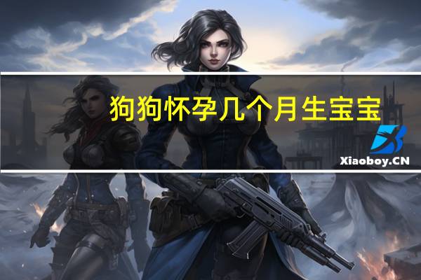 狗狗怀孕几个月生宝宝