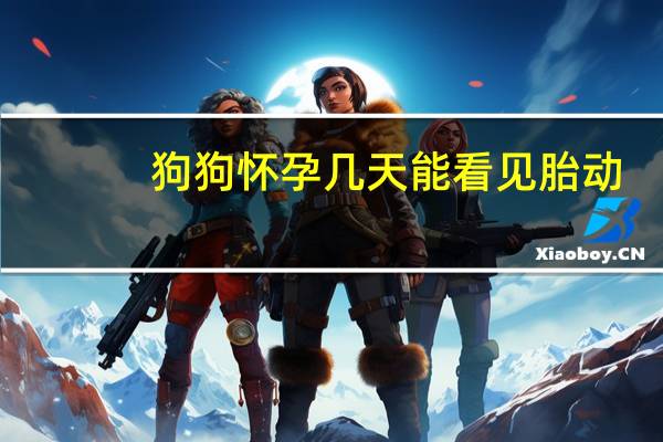 狗狗怀孕几天能看见胎动