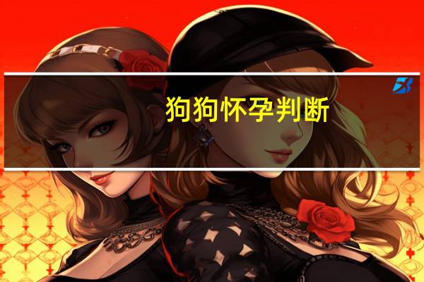 狗狗怀孕判断