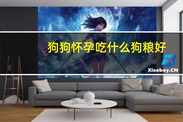 狗狗怀孕吃什么狗粮好
