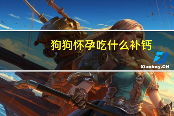 狗狗怀孕吃什么补钙