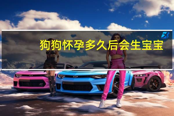 狗狗怀孕多久后会生宝宝