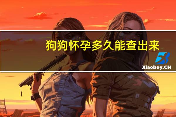 狗狗怀孕多久能查出来