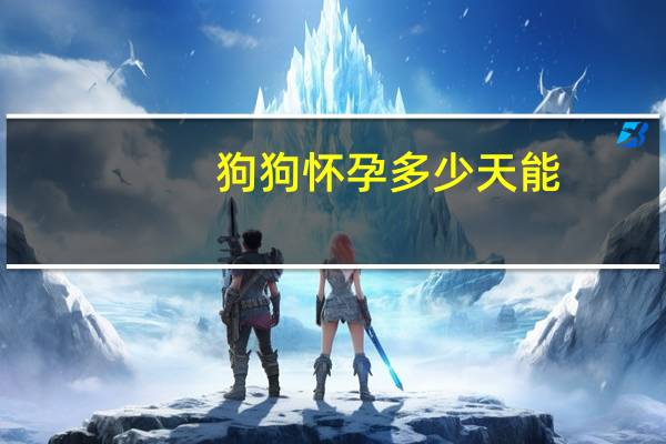 狗狗怀孕多少天能