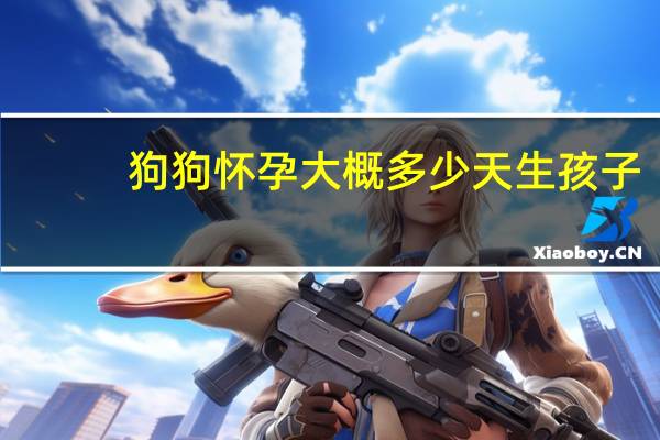 狗狗怀孕大概多少天生孩子