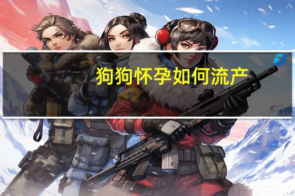 狗狗怀孕如何流产