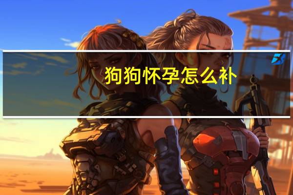 狗狗怀孕怎么补