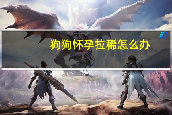 狗狗怀孕拉稀怎么办